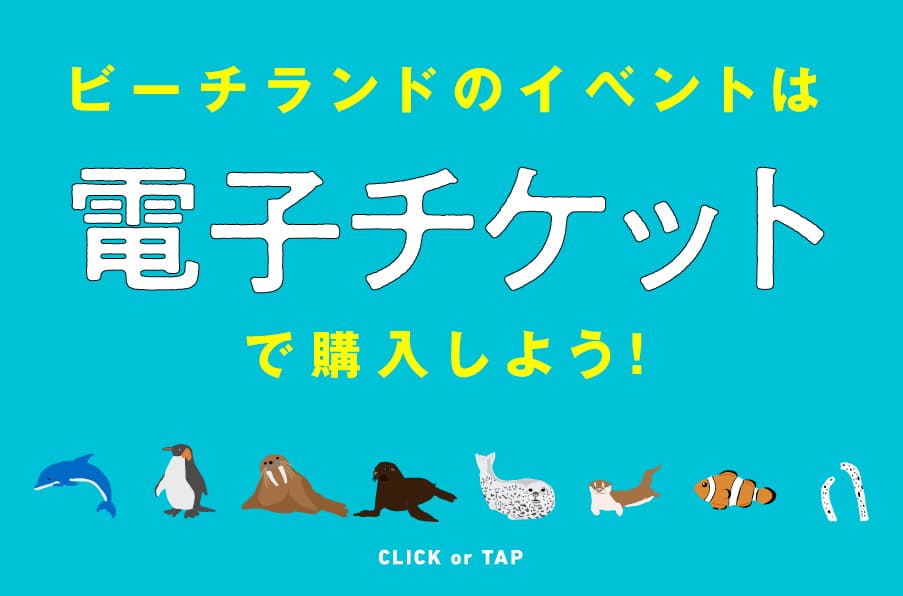 ふれあいイベント アーカイブ 体験型水族館とおもちゃ遊園地 南知多ビーチランド 南知多おもちゃ王国 愛知県知多半島