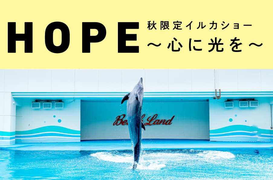 ふれあいイベント アーカイブ 体験型水族館とおもちゃ遊園地 南知多ビーチランド 南知多おもちゃ王国 愛知県知多半島