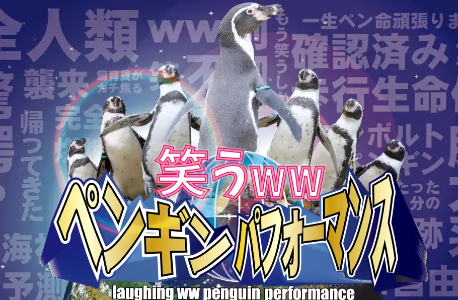 体験型水族館とおもちゃ遊園地 南知多ビーチランド 南知多おもちゃ王国 愛知県知多半島 ふれあい体験型水族館とおもちゃの遊園地 南知多ビーチ ランド 南知多おもちゃ王国 愛知県知多半島 公式ホームページです