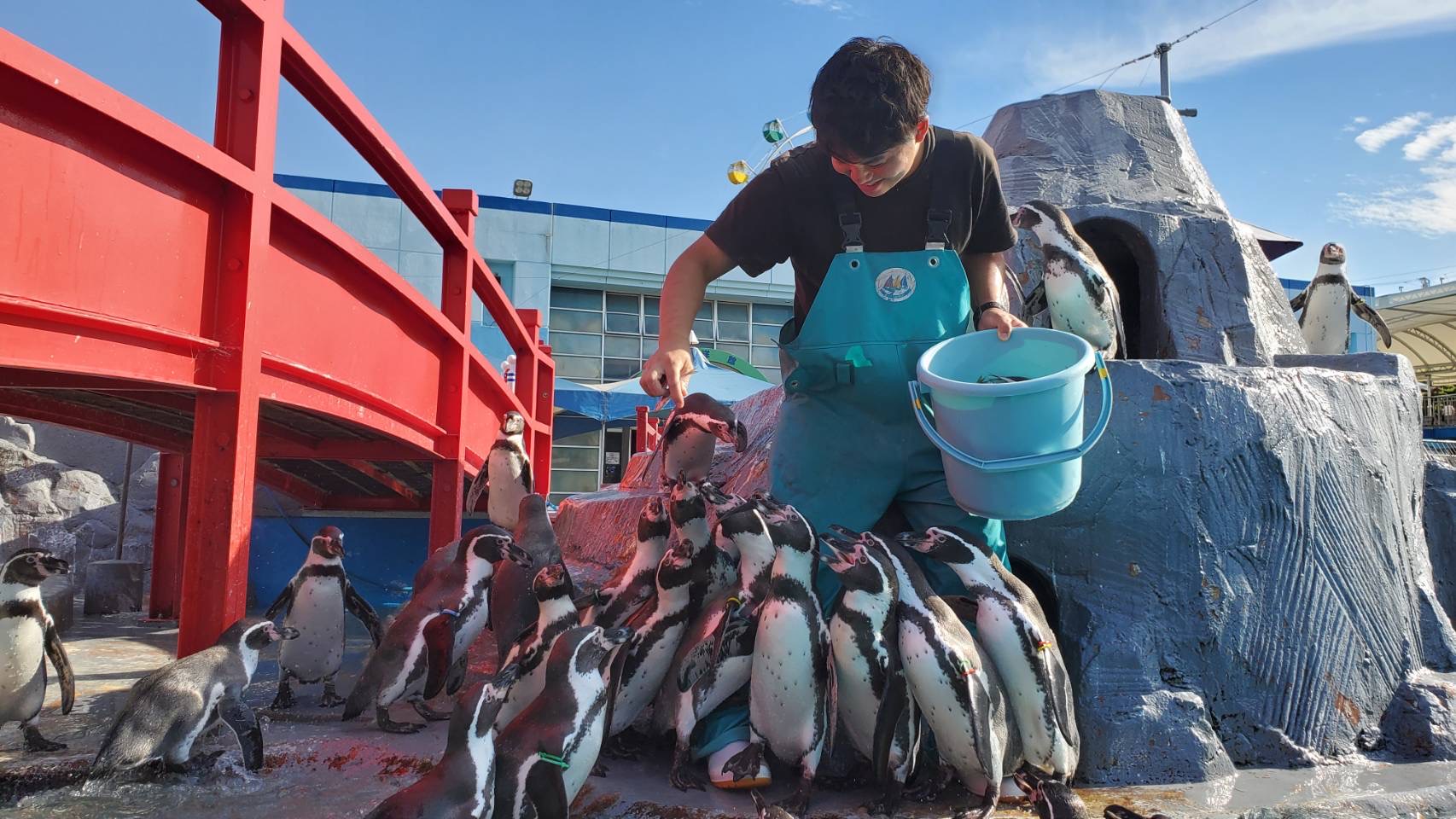 ふれあいイベント アーカイブ 体験型水族館とおもちゃ遊園地 南知多ビーチランド 南知多おもちゃ王国 愛知県知多半島