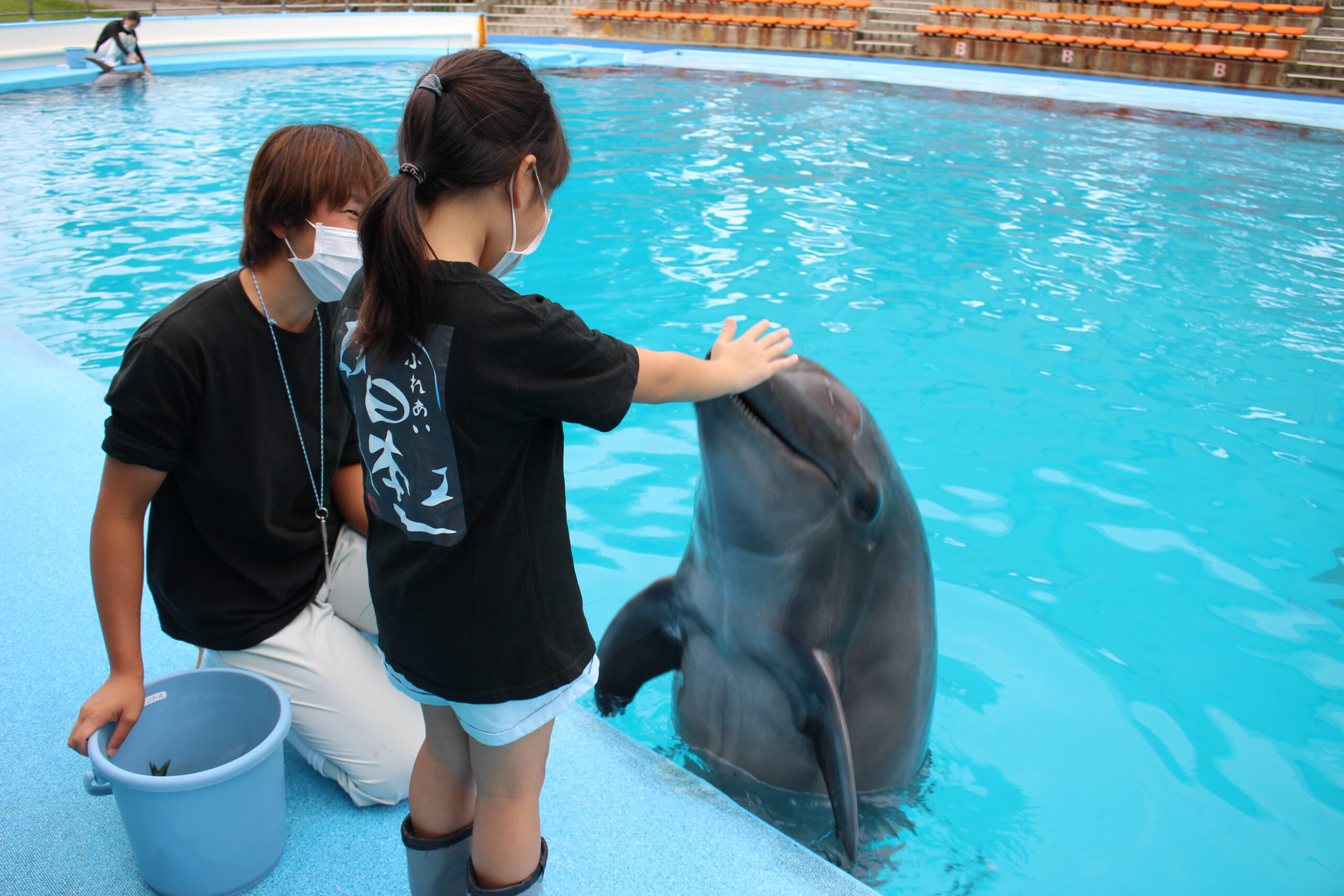 憧れの飼育員体験 体験型水族館とおもちゃ遊園地 南知多ビーチランド 南知多おもちゃ王国 愛知県知多半島