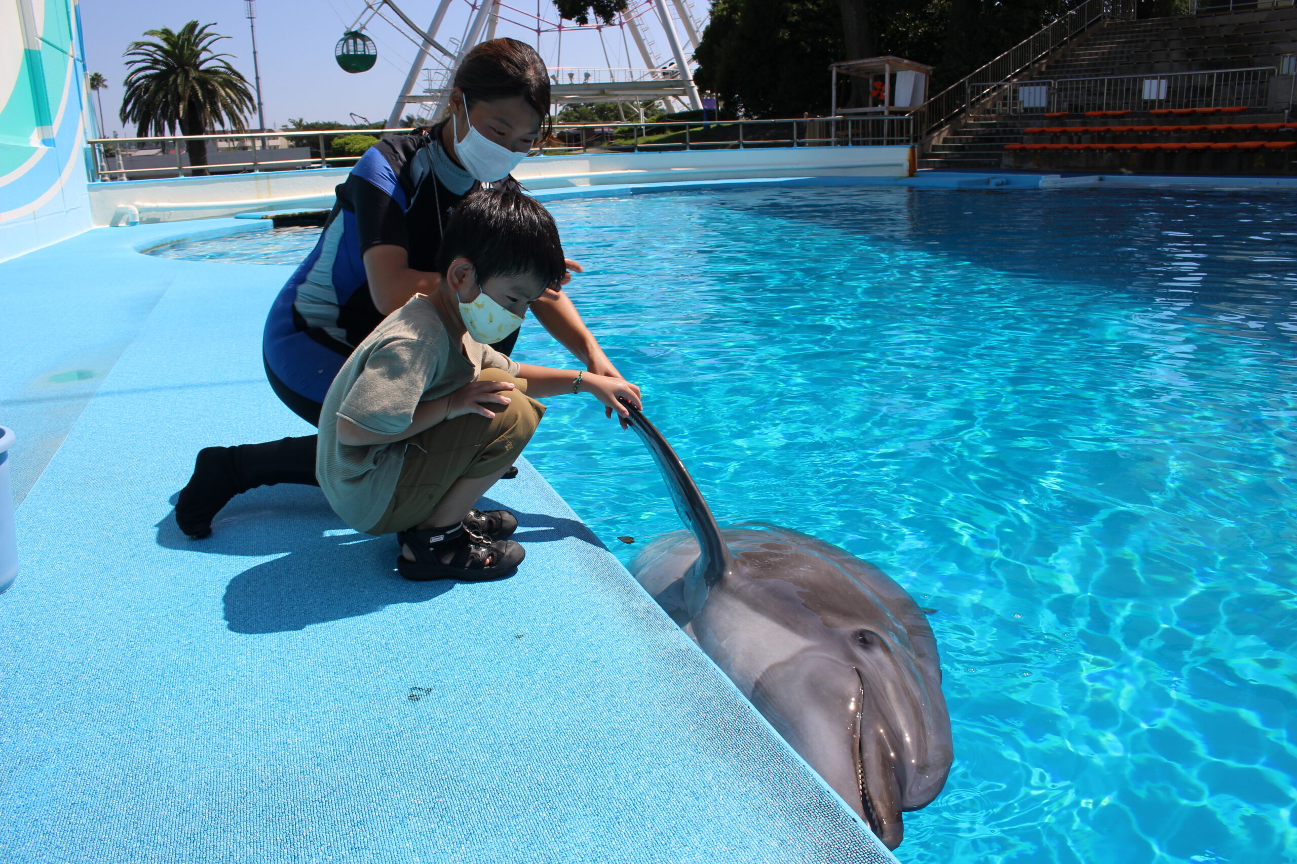 水族館4☆愛知★南知多ビーチランド9☆イルカ★記念メダル☆茶平工業 愛知県【南知多ビーチランド】 記念メダル | 記念メダル図鑑