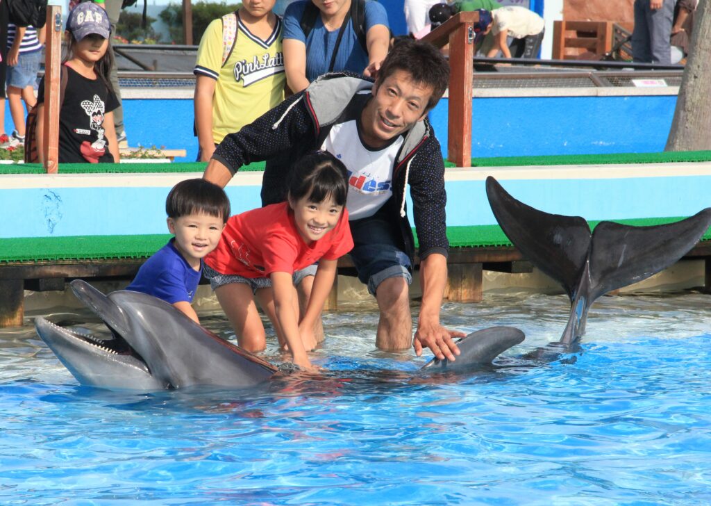 プールの中でイルカにタッチ - 体験型水族館とおもちゃ遊園地 南知多