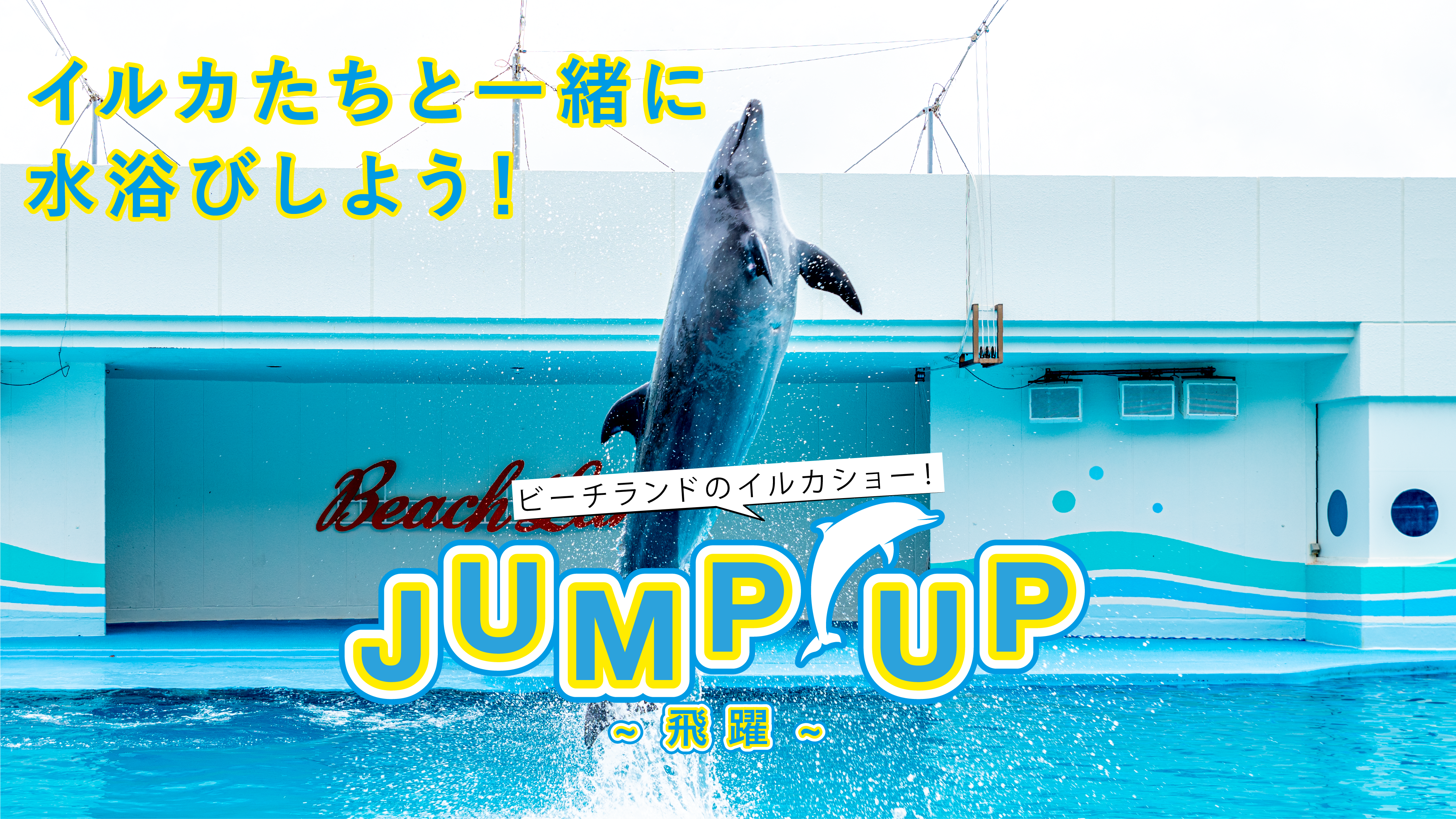 イルカショー　Jump Up～飛躍～
