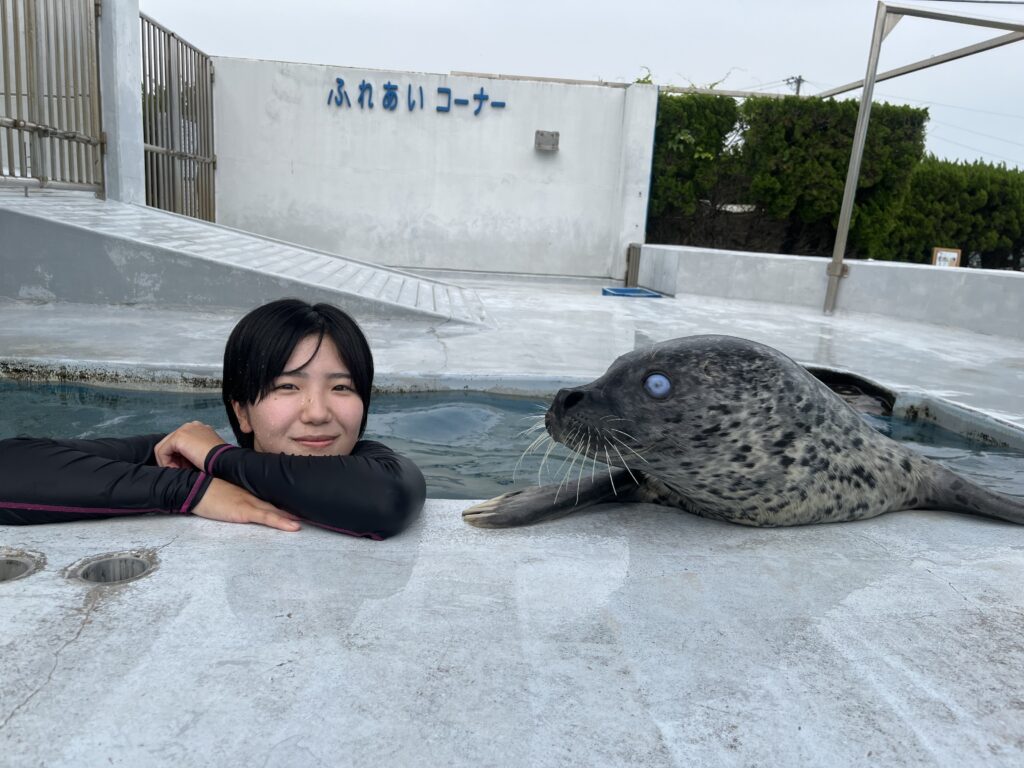 全日程完売】プールの中でアザラシを抱っこ - 体験型水族館とおもちゃ遊園地 南知多ビーチランド&南知多おもちゃ王国（愛知県知多半島）