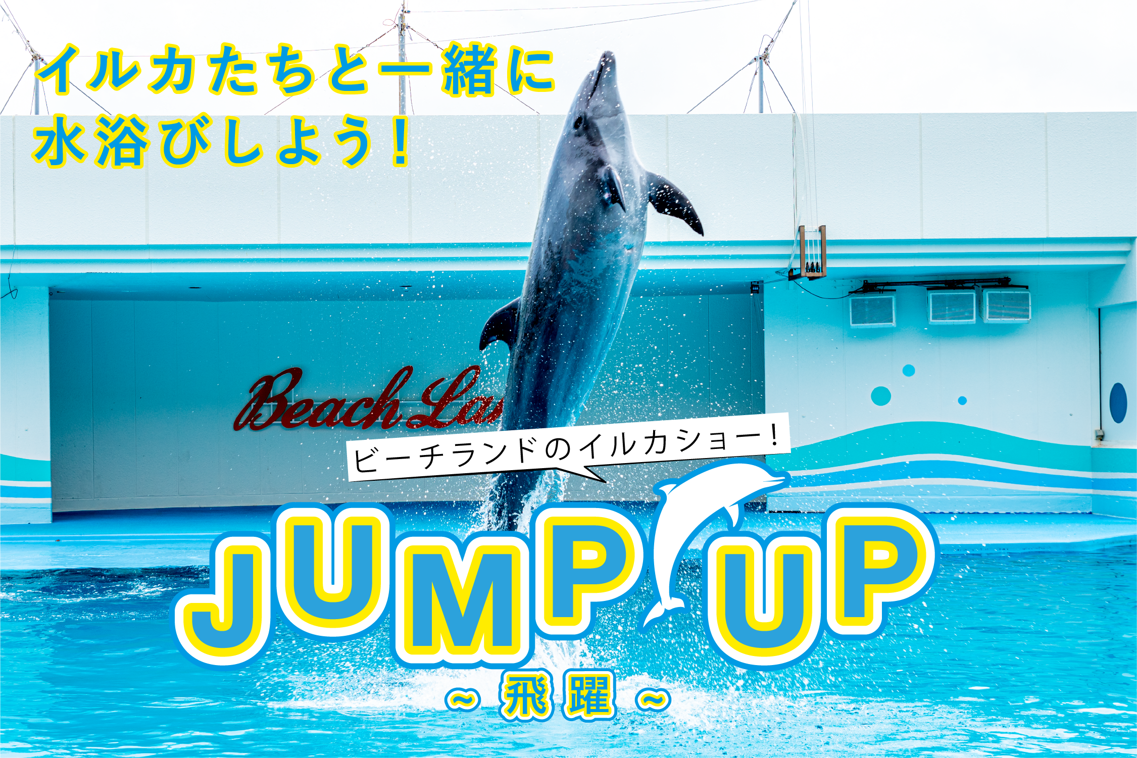 イルカショー　～Jump Up 飛躍～