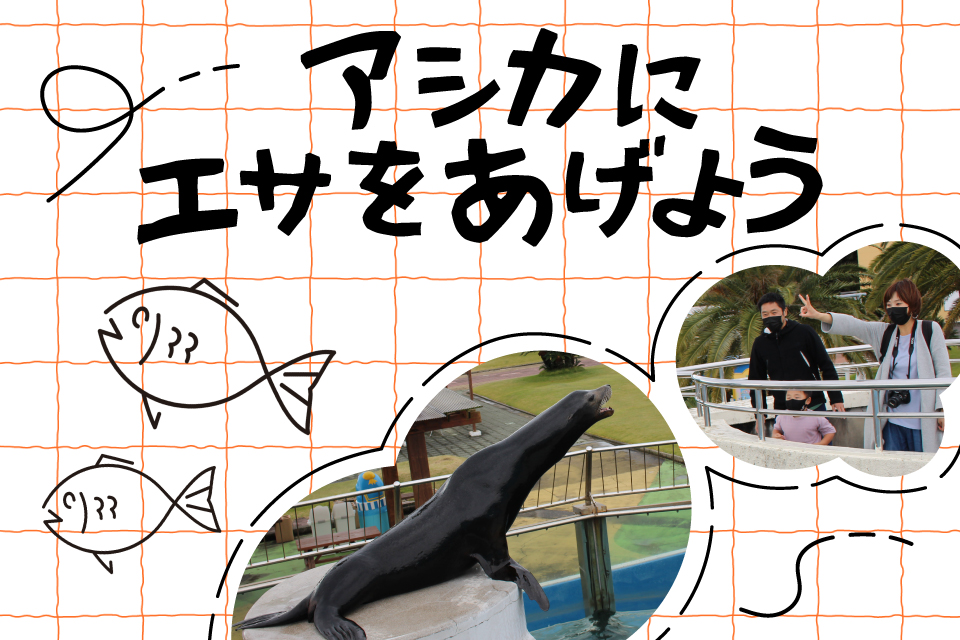 アシカにエサをあげよう