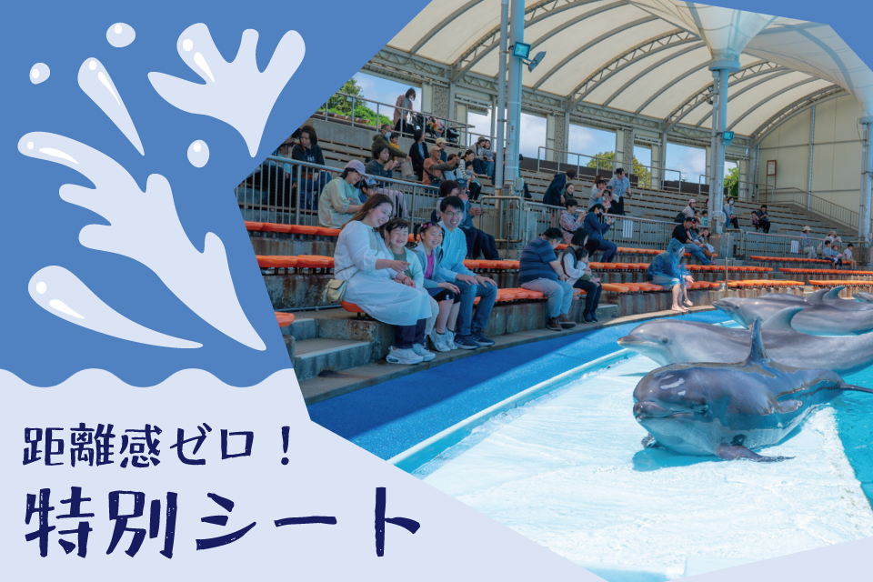 距離感ゼロ特別シート