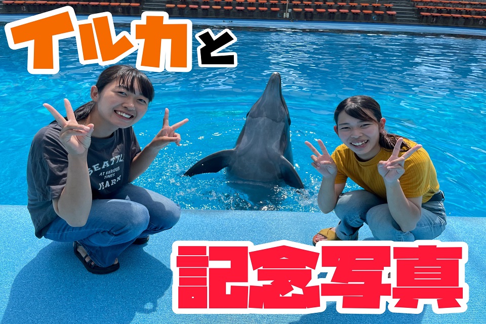 (3/1～)イルカと記念写真