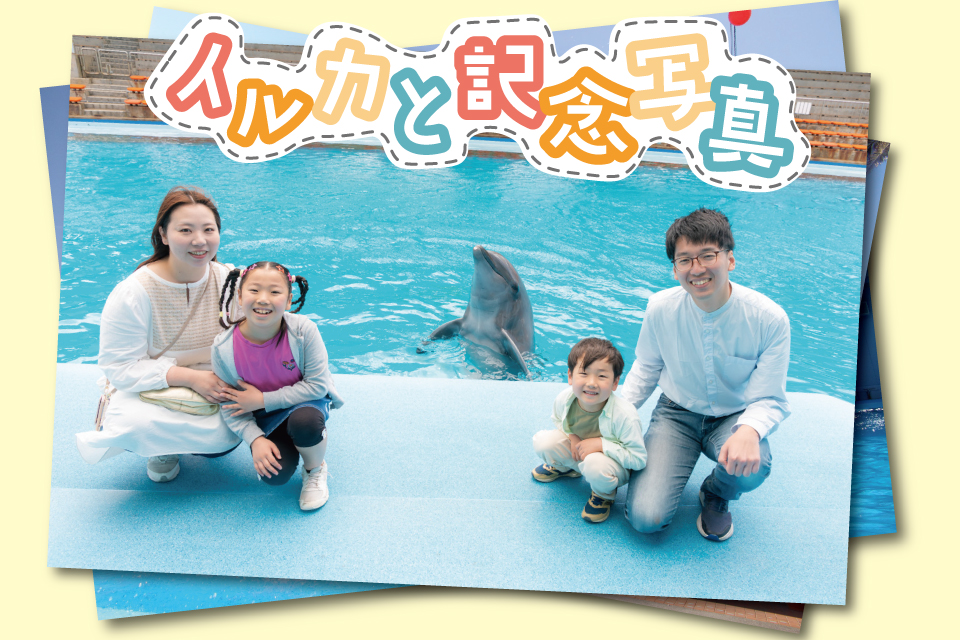 イルカと記念写真