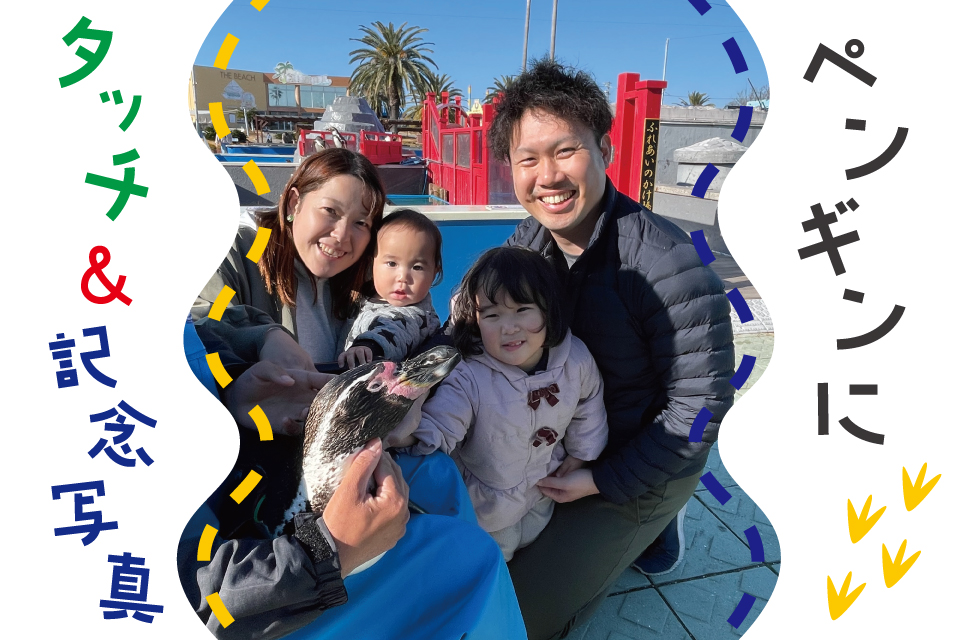 ペンギンにタッチ＆記念写真