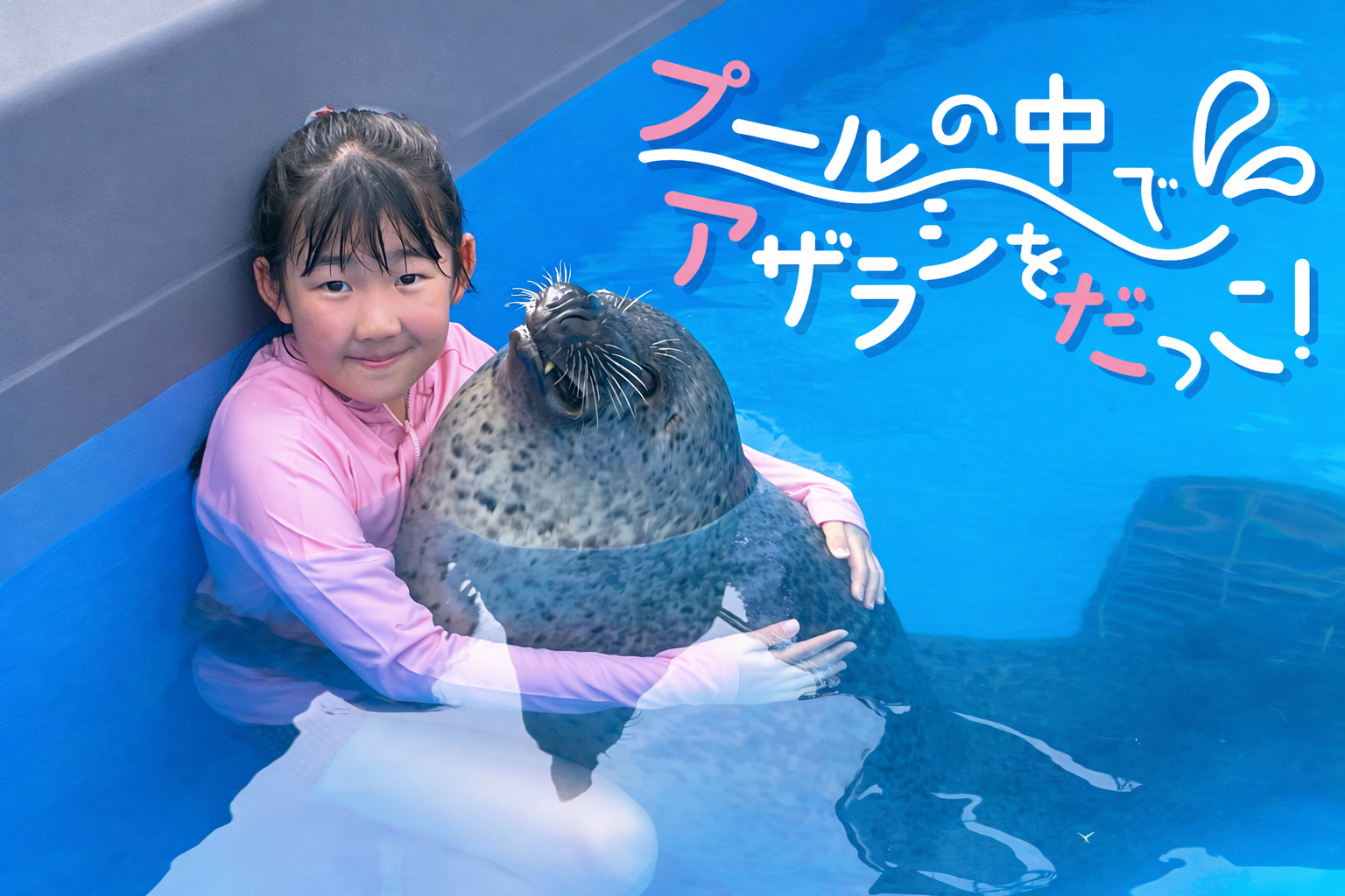 【7/4販売開始】プールの中でアザラシを抱っこ！