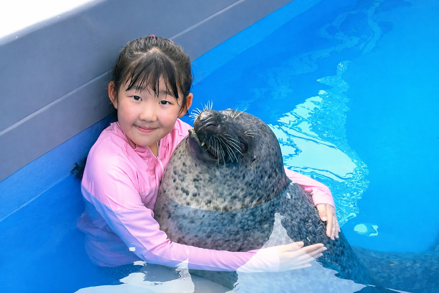 夏♪アザラシ♡プール 全日程完売】プールの中でアザラシを抱っこ！ - 体験型水族館と