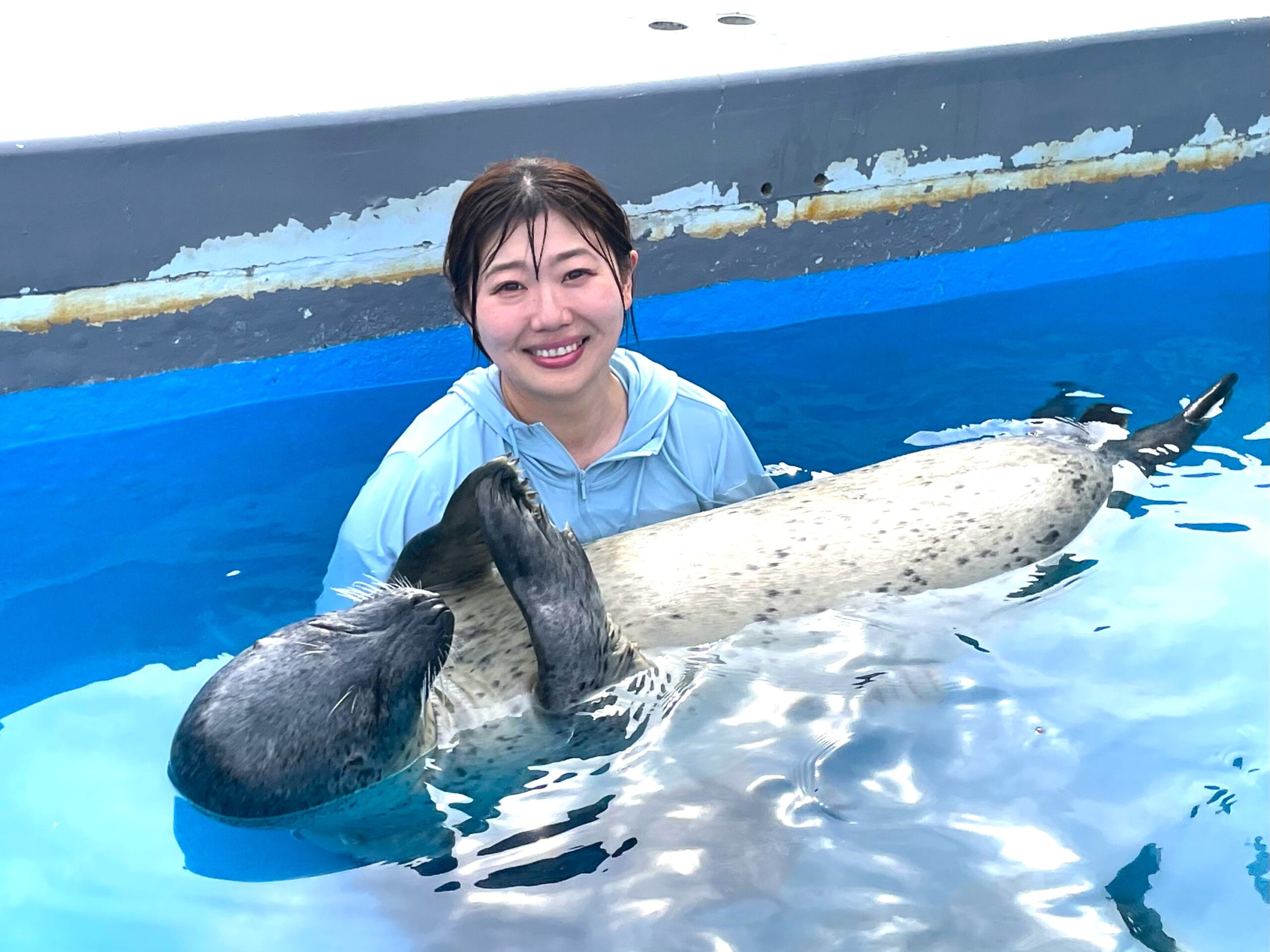 7/4販売開始】プールの中でアザラシを抱っこ！ - 体験型水族館と