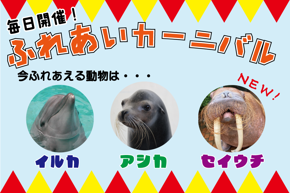 秋のふれあいカーニバル