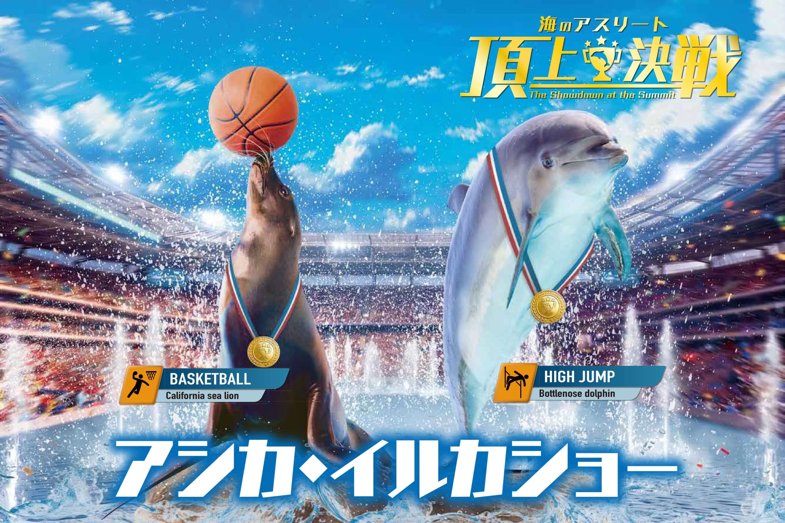 アシカ・イルカショー