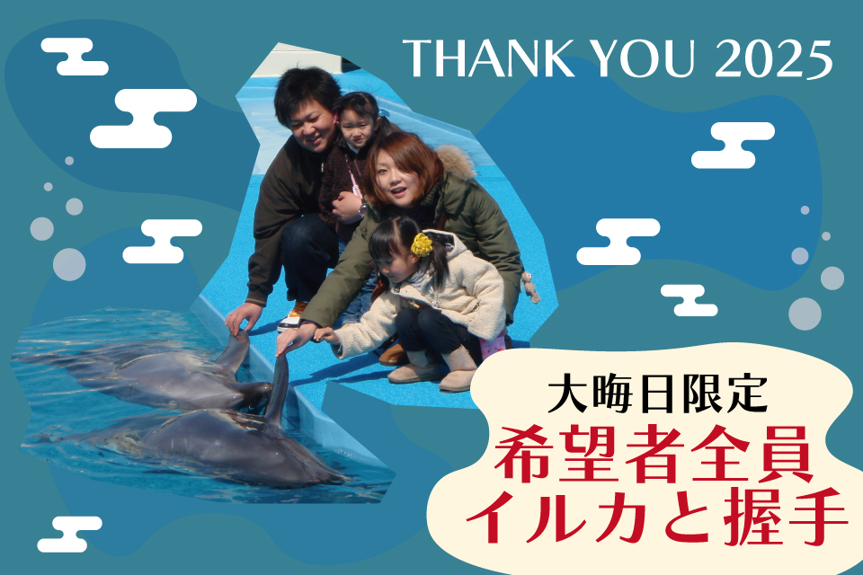 水族館裏側ウォッチング - 体験型水族館とおもちゃ遊園地 南知多ビーチ