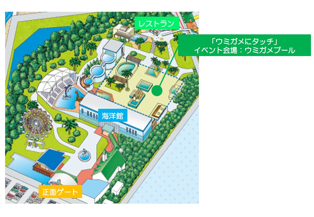 ウミガメにタッチ - 体験型水族館とおもちゃ遊園地 南知多ビーチランド