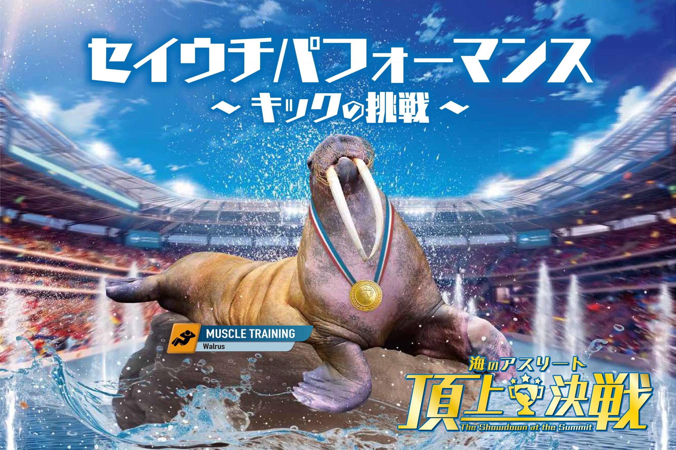 セイウチパフォーマンス～キックの挑戦～