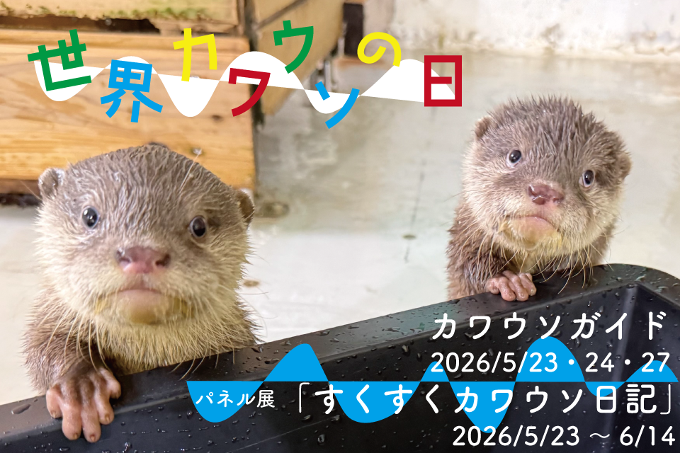 世界カワウソの日イベント