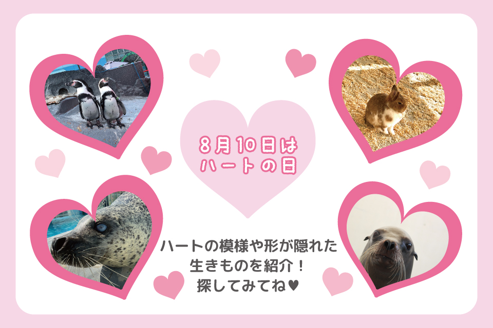 8月10日は「ハートの日」