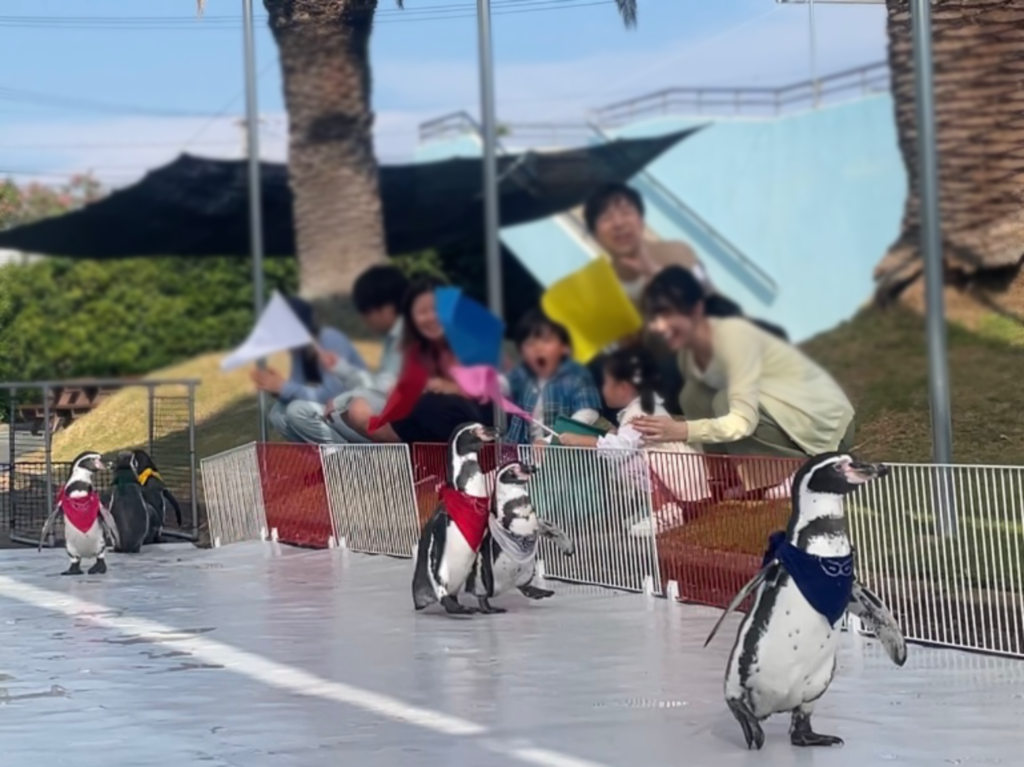 秋のイベント開催！ - 体験型水族館とおもちゃ遊園地 南知多ビーチ
