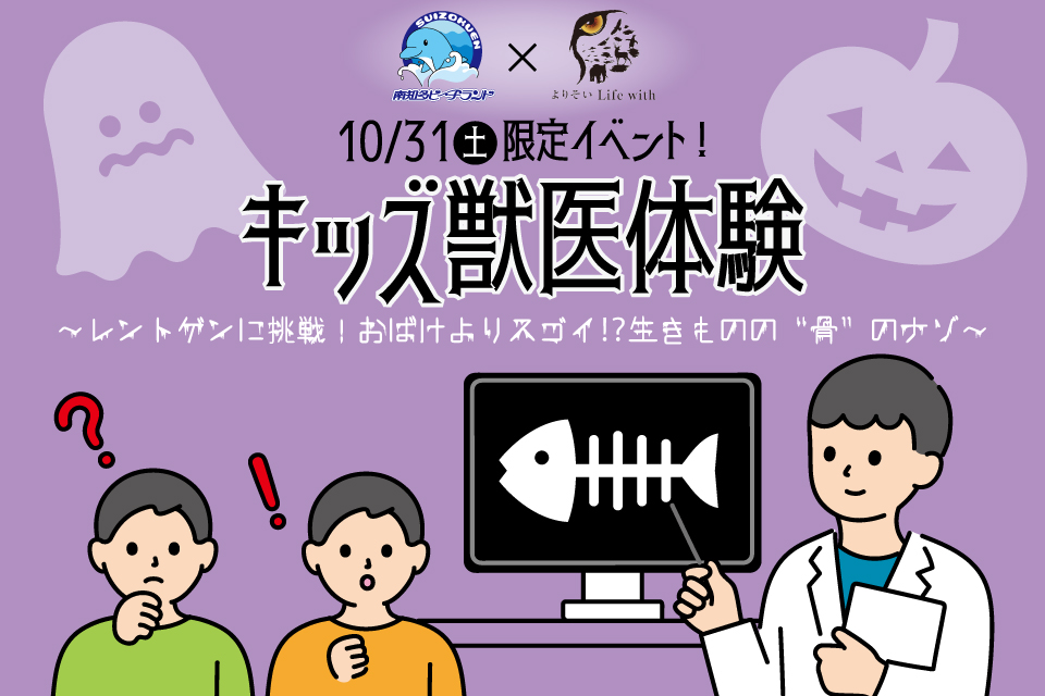 10/31(土)キッズ獣医体験